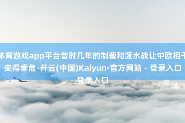 体育游戏app平台昔时几年的制裁和涎水战让中欧相干变得垂危-开云(中国)Kaiyun·官方网站 - 登录入口